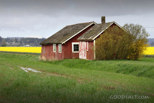 Red Barn