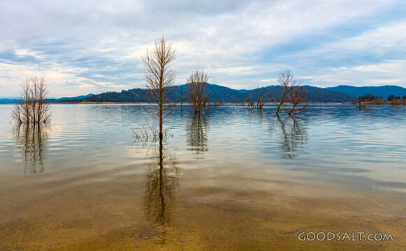 Reflection of silohuetted trees in lake.
