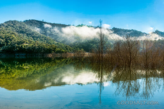 Reflection of silohuetted trees in lake.