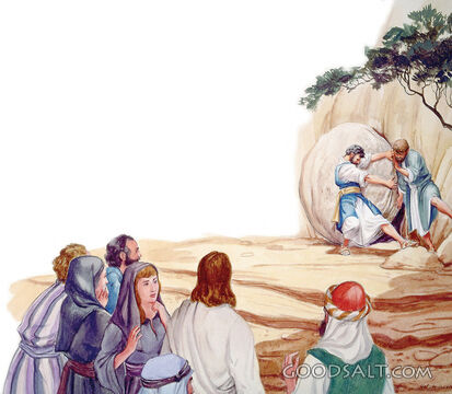 Remove the Stone