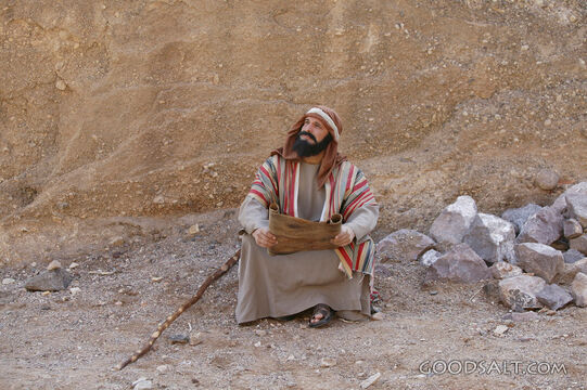 man sitting on ground holding scroll and looking heavenward
