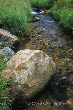 Rocky Stream With Grass and a Boulder