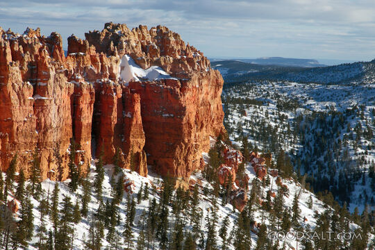 UTAH. Bryce Canyon National Park. Pink Cliffs late winter af