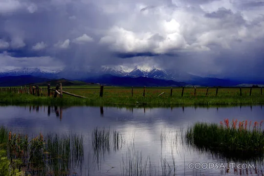 IDAHO. Camas Prairie. Snow-capped Soldier Mountains viewed f