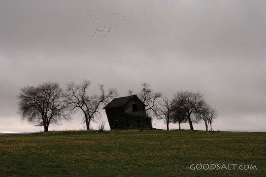 IDAHO. Midvale. Abandoned house against gloomy winter sky in