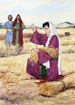 Ruth and Boaz