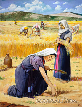 Ruth and the Harvesters