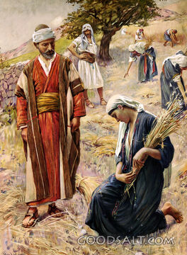 Ruth Meeting Boaz