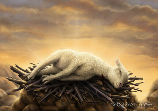 Sacrificial Lamb