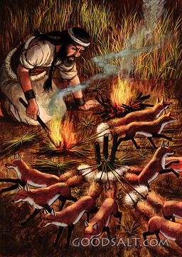 Samson and the Foxes