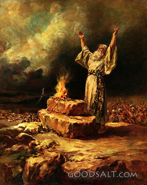 Samuel the Victorious Leader