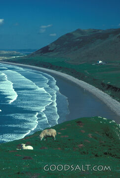 Sand and Sea