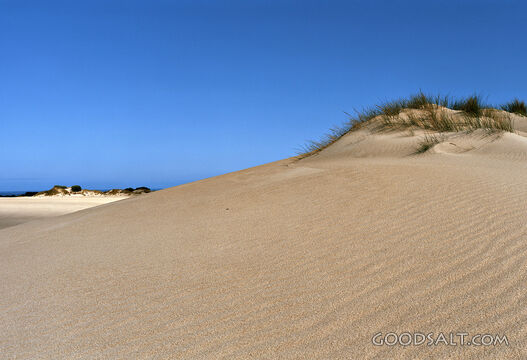 sandy beach with blue sky