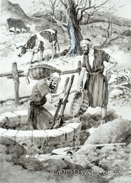Searching for Water