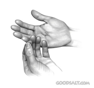 Seeds of Faith