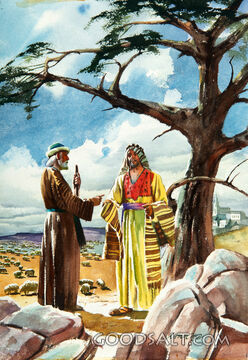 Separating the Garment
