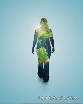 Shaped by the World