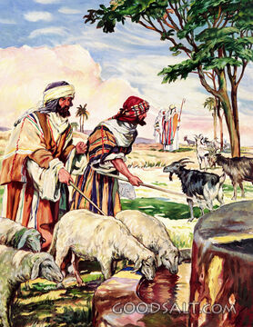 Sheep and Goats