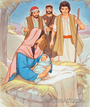 Shepherd Visitors