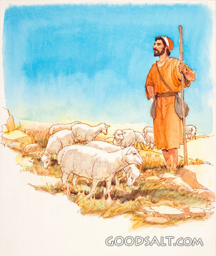 Shepherd Watching Flock of Sheep