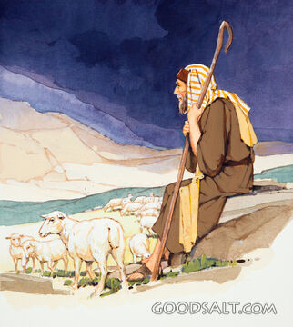 Shepherd Watching His Flock