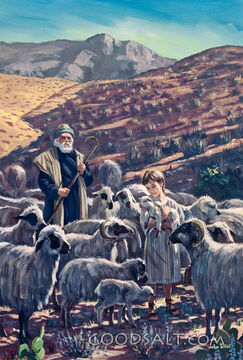 Shepherd With His Sheep