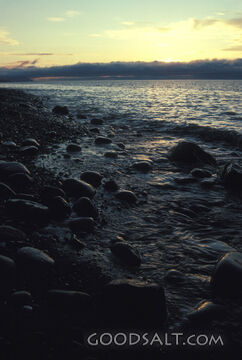 Shoreline