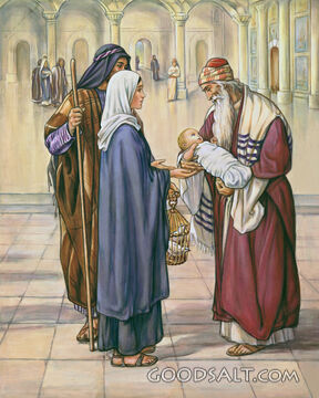 Simeon and Baby Jesus