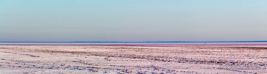 single person on the pink surface of salt lake