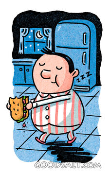 Sleep Walking Snack
