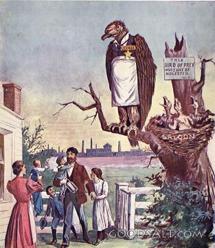Licensed Bird of Prey