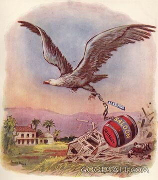 Eagle of Freedom Over the Broken Saloon
