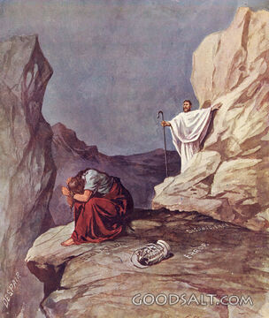 Christ Calls the Despairing Soul