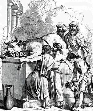 Levitical Sacrifice at the Altar