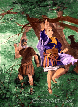 Absalom Caught in the Oak