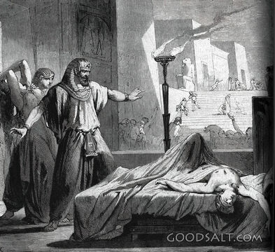 Pharaoh Finds His Firstborn Dead