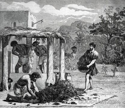Grape Harvest at the Winepress