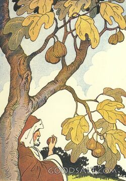 Fig Tree and the Watchful Gardener