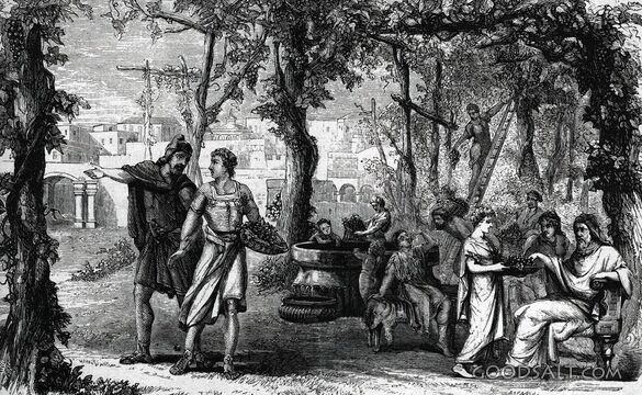 Israelite Vineyard Harvest
