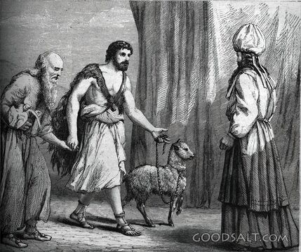 Lamb Offering at the Tabernacle