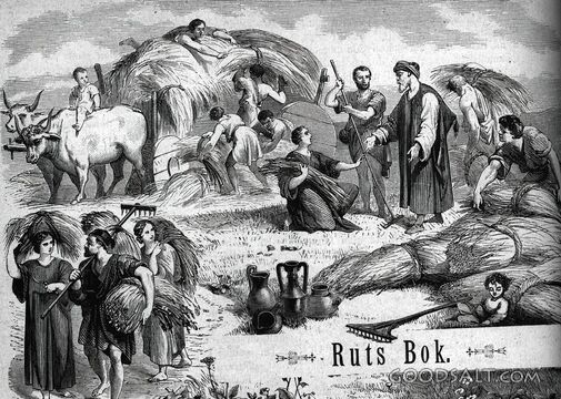 Ruth Gleans in the Field of Boaz