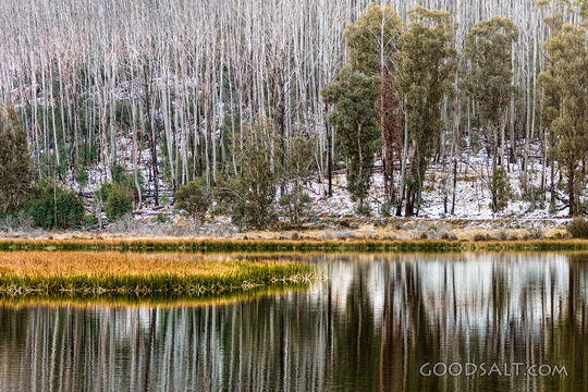 Snow and trees on the other side of a lake are reflected in its waters.
