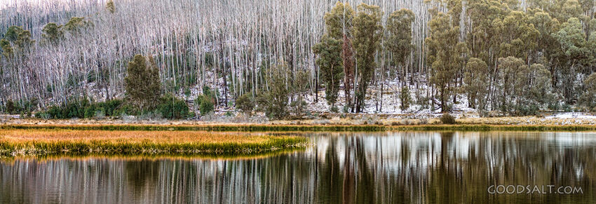Snow and trees on the other side of a lake are reflected in its waters.