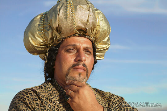 Solomon the Wise