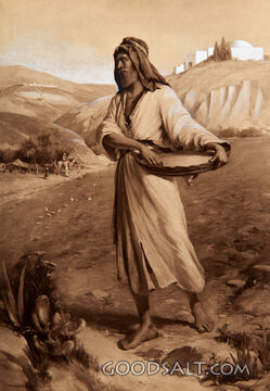Sower