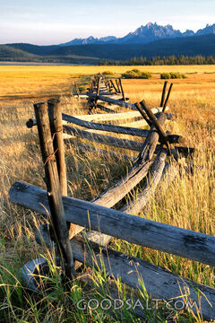Split-Rail Fence