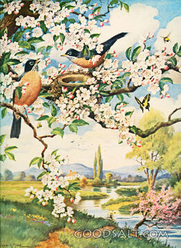 Spring