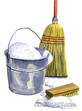 Tools for Cleansing