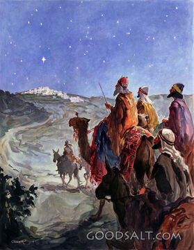 Star of Bethlehem