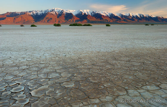 Steens Mountain at Dawn